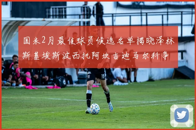 国米2月最佳球员候选名单揭晓泽林斯基埃斯波西托阿坎吉迪马尔科争夺荣誉