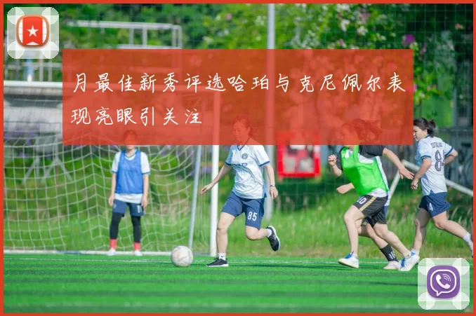 月最佳新秀评选哈珀与克尼佩尔表现亮眼引关注