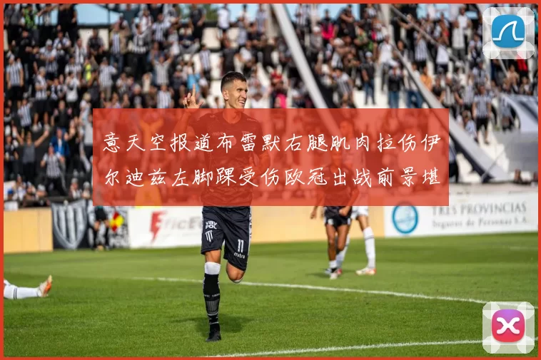 意天空报道布雷默右腿肌肉拉伤伊尔迪兹左脚踝受伤欧冠出战前景堪忧